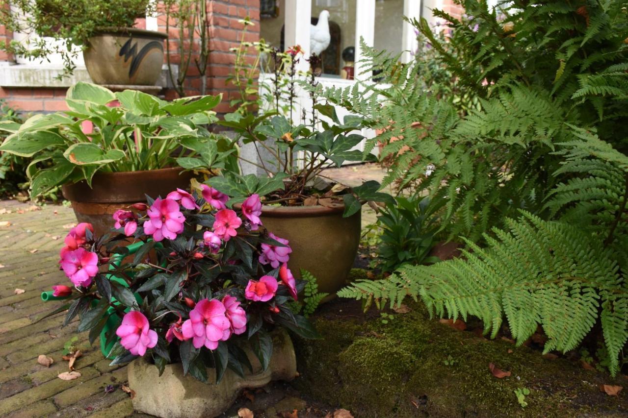 Bed & Breakfast Leonie The Hague Exterior photo